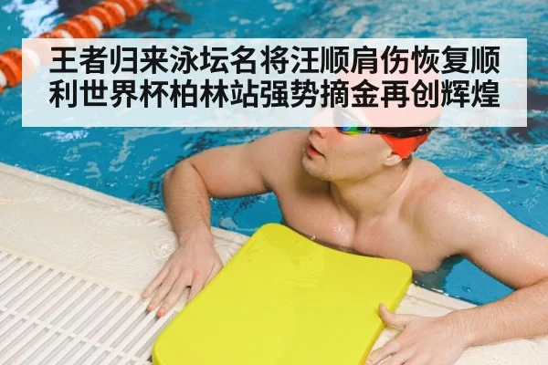 王者归来泳坛名将汪顺肩伤恢复顺利世界杯柏林站强势摘金再创辉煌
