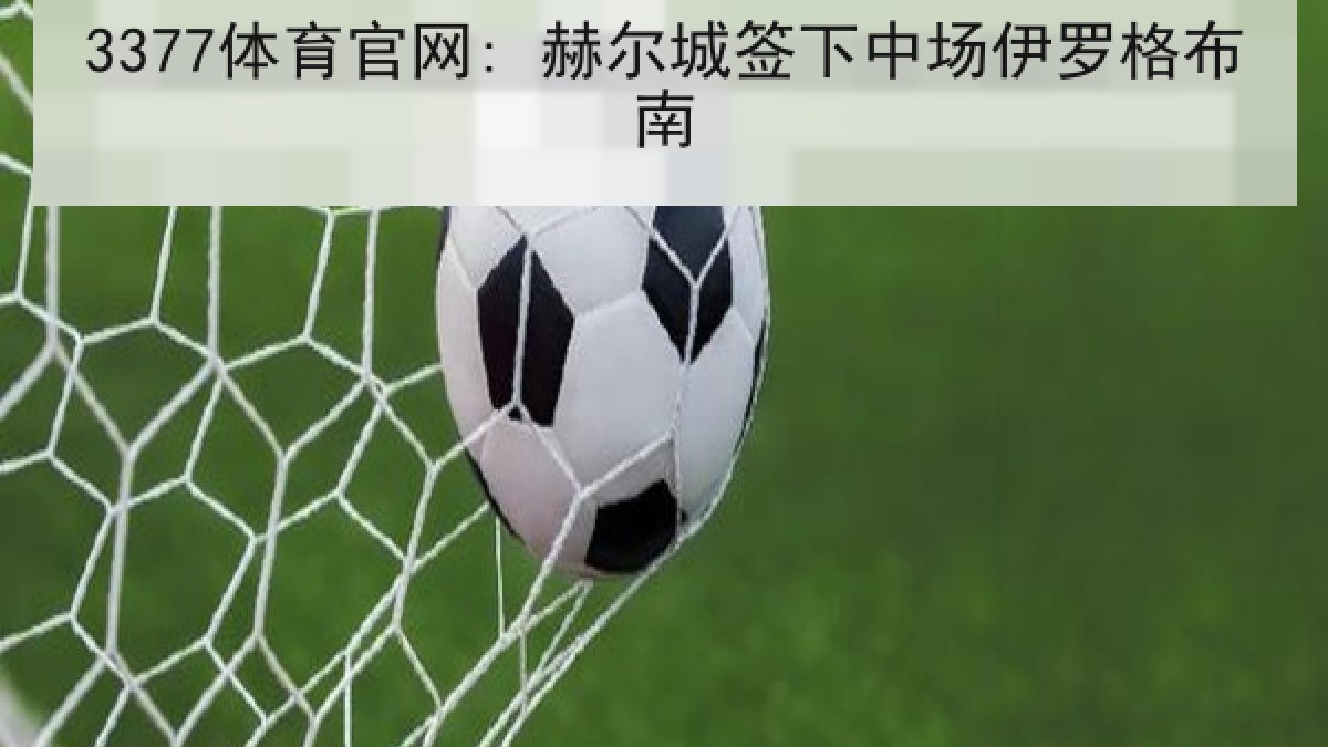 3377体育官网: 赫尔城签下中场伊罗格布南 3377体育官网: 赫尔城签下中场伊罗格布南
